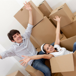 Real Estate Auctions