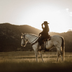 Farm & Ranch Properties