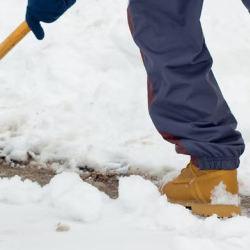 Lawn Care and Snow Removal