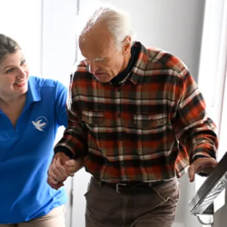 Safe & Steady Fall Prevention Program