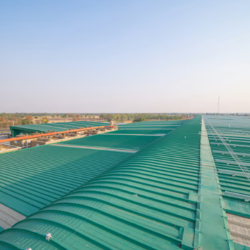 Commercial Roofing