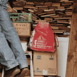 Hoarding Disorder Treatment