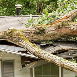 Storm & Hail Damage Repair