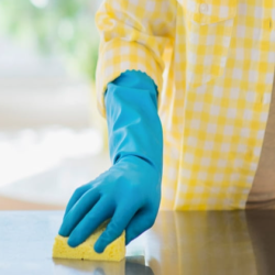 House Cleaning Services