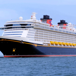 Cruises