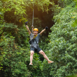 Shore Excursions