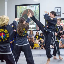 Adult Martial Arts