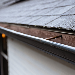 Gutter Cleaning