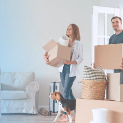 Consumer Loans