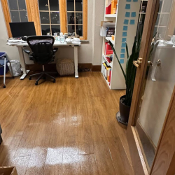 Residential Property Cleanup