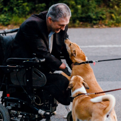Wheelchair & Mobility Batteries