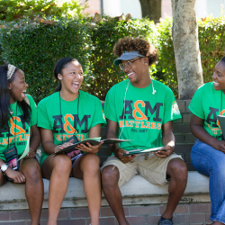Undergraduate Programs