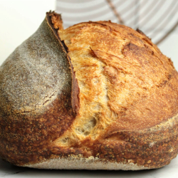 Sourdough Bread 101