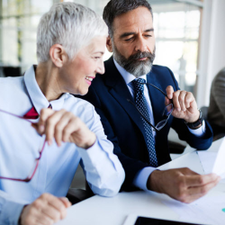 IRS Audit Support
