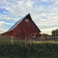 Farm and Ranch Insurance
