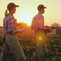 Agribusiness Insurance