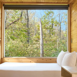 Standard Cabin with Queen Bed
