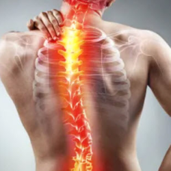 Disc Injury Treatment