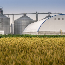 Flour Production (by Bartlett)