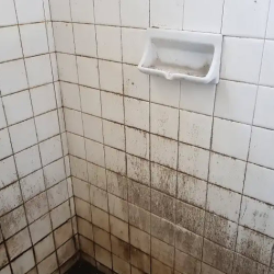 Sewage Cleanup