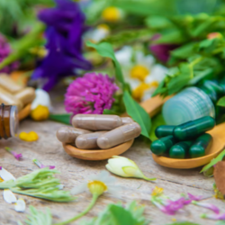 Herbal Medicine and Nutritional Supplementation