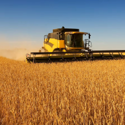 Multi Peril Crop Insurance