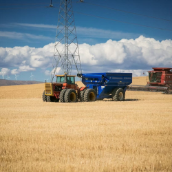 Crop-Hail Coverage