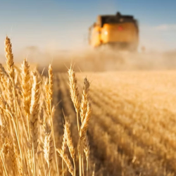 Specialty Crop Coverage