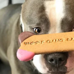 All-Natural Chews