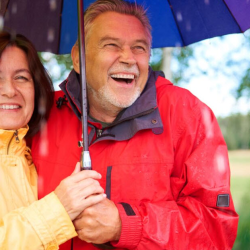 Insurance Solutions