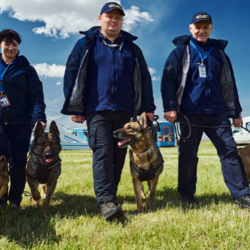 Service Dogs for Veterans & First Responders