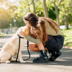 Service Dog Fostering Program
