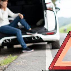 Auto Insurance