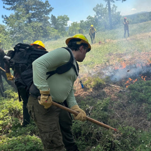 Prescribed Fire Training & Mentorship