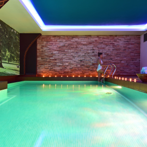 Spa & Wellness Facilities