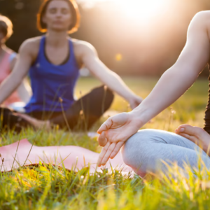 Holistic Wellness and Health Education
