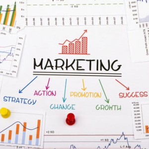 Marketing Strategies
