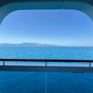 Ocean Cruises