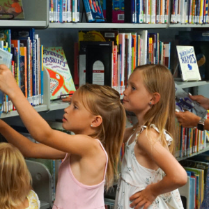 Programs & Education
