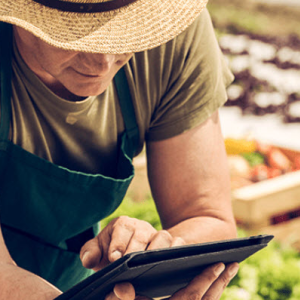 Online & Mobile Banking