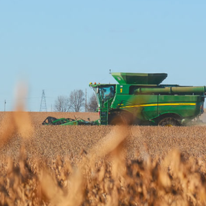 Agribusiness