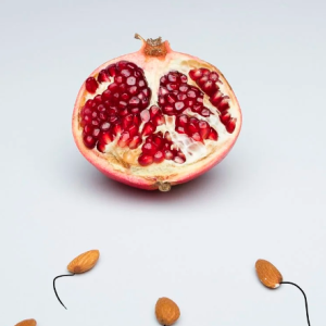Preconception Counseling