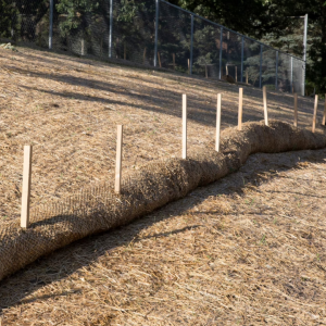 Erosion Control