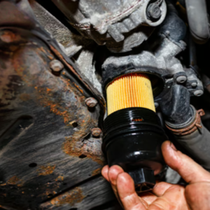 Oil & Filter Change