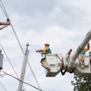 Electrical Safety