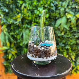 Non-toxic, pet-friendly plants