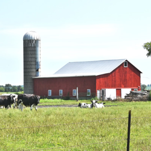 Farm & Agricultural Solutions