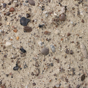 Custom Mixed Concrete
