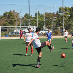 Adult Soccer Development