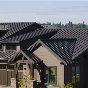 Metal Roofing